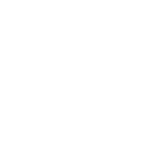 logo VS blanc